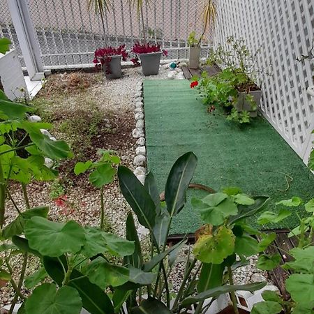 Casa Inteira 2 Dorm Minimo 3 Dias Villa Curitiba Kültér fotó